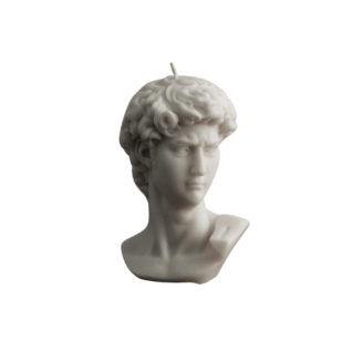 David Face Image